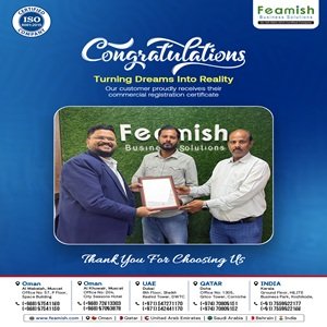 Business Setup in India | Company Registration in India | Feamish