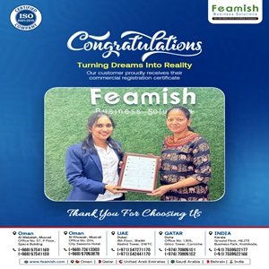 Business Setup in India | Company Registration in India | Feamish