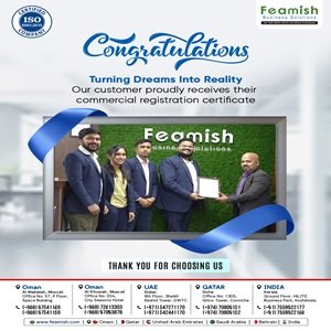 Business Setup in India | Company Registration in India | Feamish