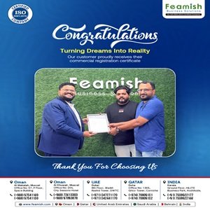 Business Setup in India | Company Registration in India | Feamish