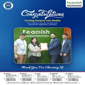 Business Setup in India | Company Registration in India | Feamish