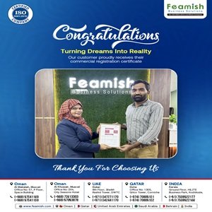 Business Setup in India | Company Registration in India | Feamish