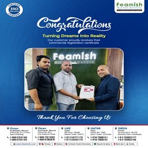 Business Setup in India | Company Registration in India | Feamish