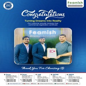 Business Setup in India | Company Registration in India | Feamish