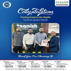 Business Setup in India | Company Registration in India | Feamish