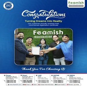 Business Setup in India | Company Registration in India | Feamish