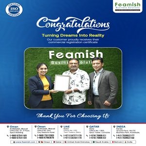 Business Setup in India | Company Registration in India | Feamish