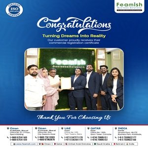 Business Setup in India | Company Registration in India | Feamish