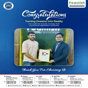 Business Setup in India | Company Registration in India | Feamish